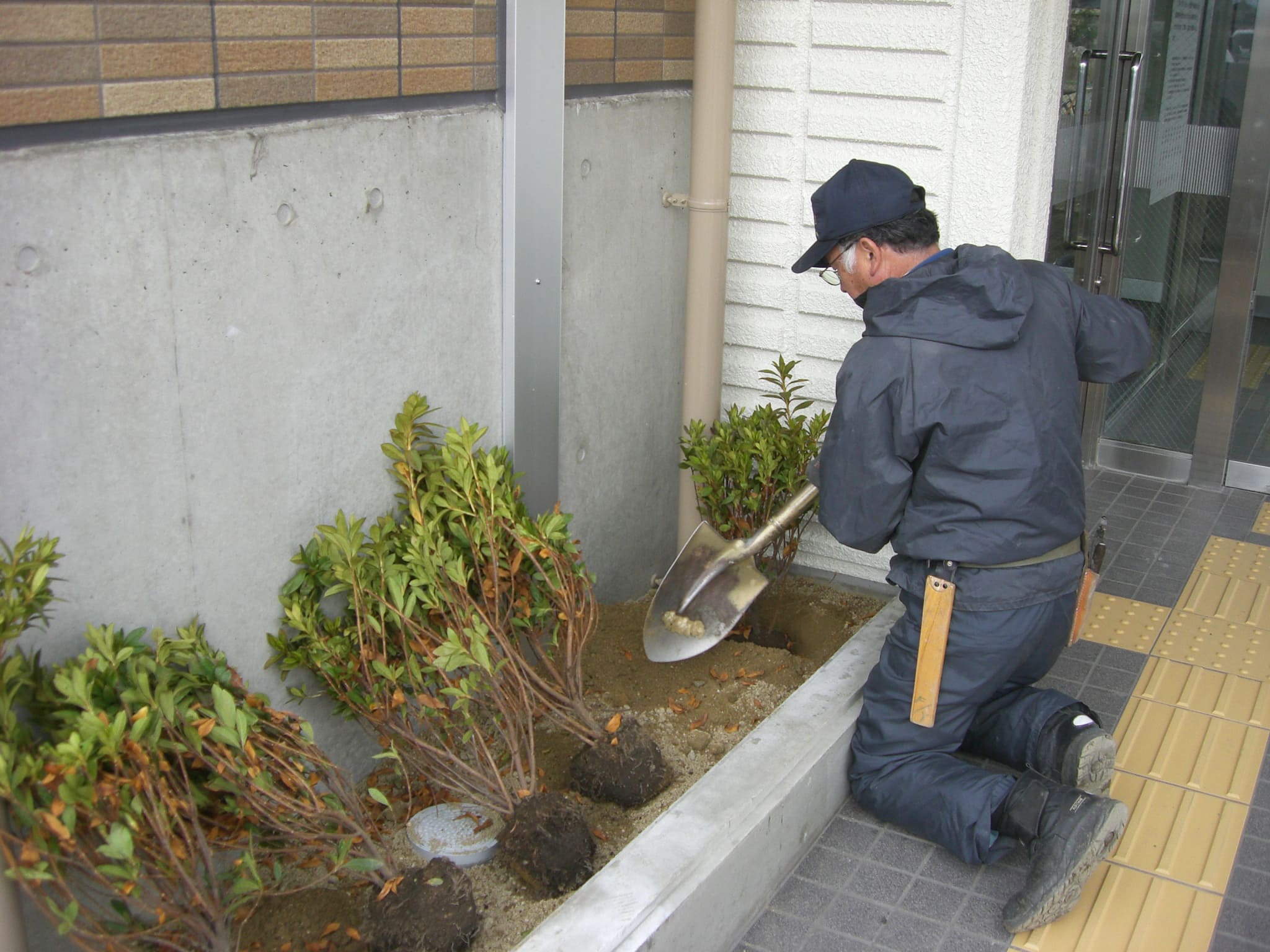 岐阜市役所西部事務所改築工事